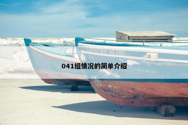 041组情况的简单介绍