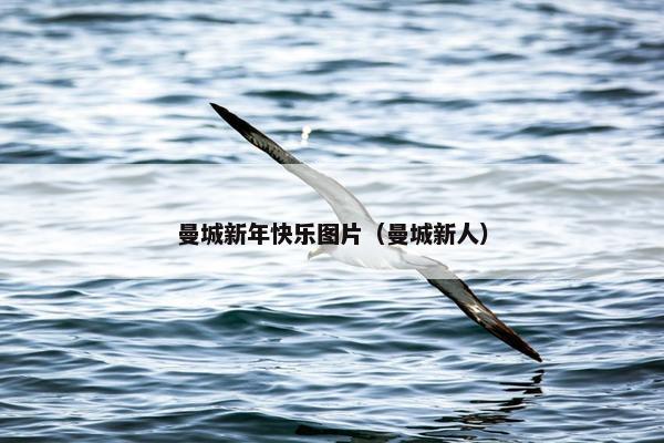 曼城新年快乐图片（曼城新人）