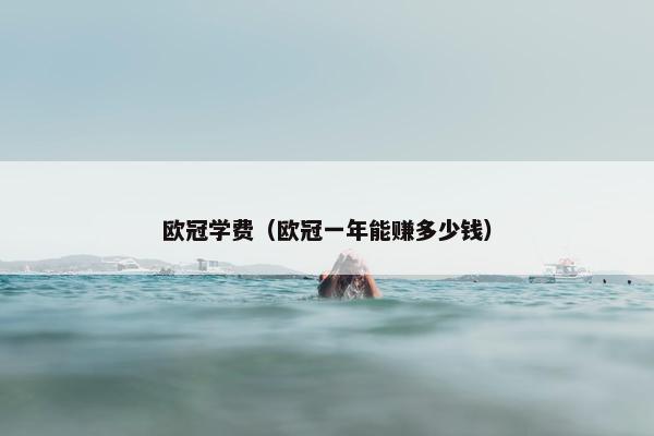 欧冠学费（欧冠一年能赚多少钱）