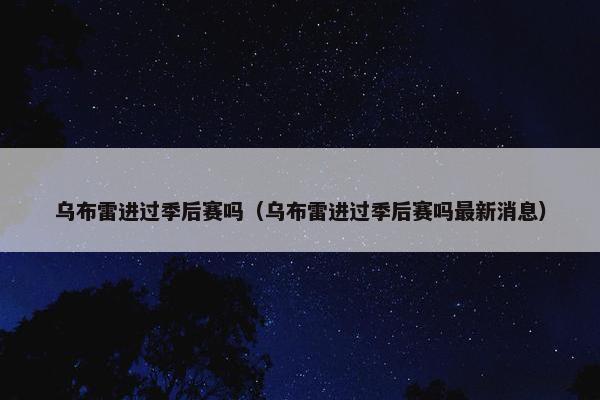 乌布雷进过季后赛吗（乌布雷进过季后赛吗最新消息）