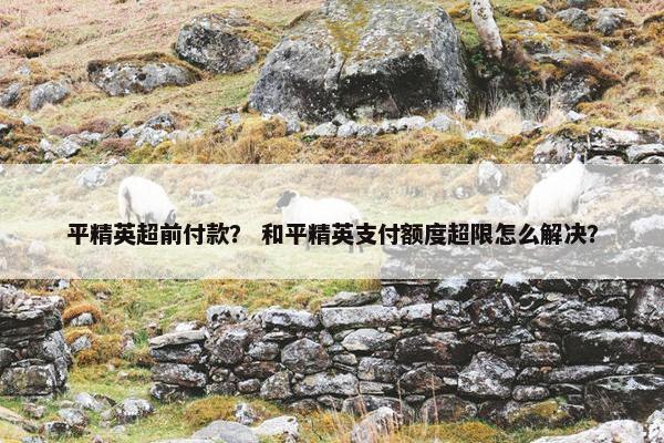 平精英超前付款？ 和平精英支付额度超限怎么解决？