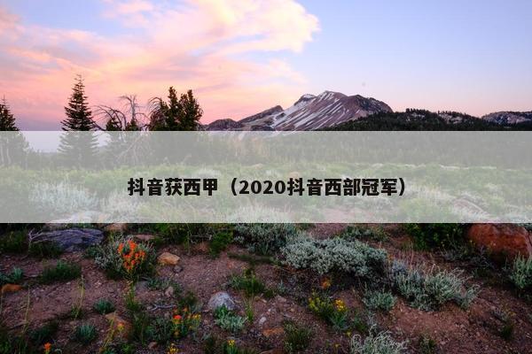 抖音获西甲（2020抖音西部冠军）
