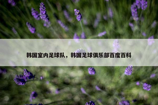 韩国室内足球队，韩国足球俱乐部百度百科