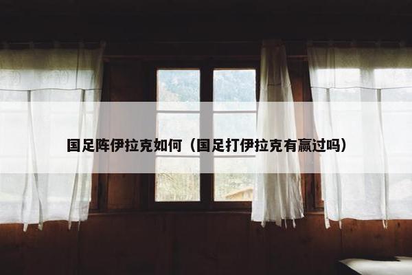 国足阵伊拉克如何（国足打伊拉克有赢过吗）