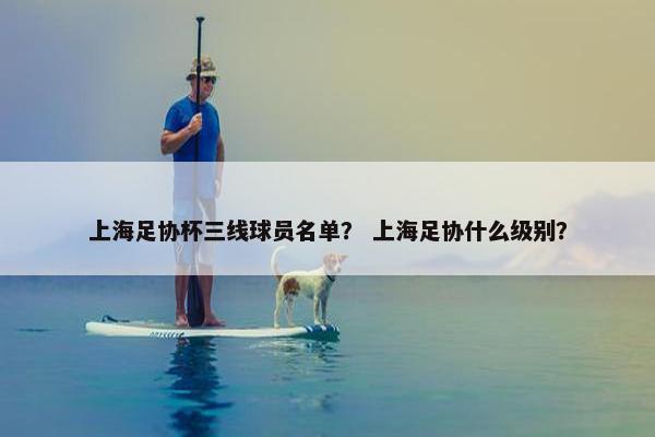 上海足协杯三线球员名单？ 上海足协什么级别？