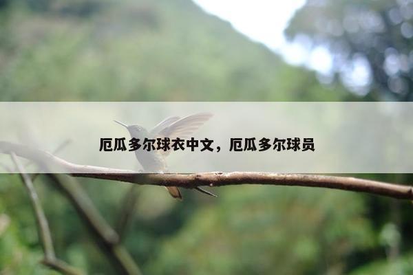 厄瓜多尔球衣中文，厄瓜多尔球员
