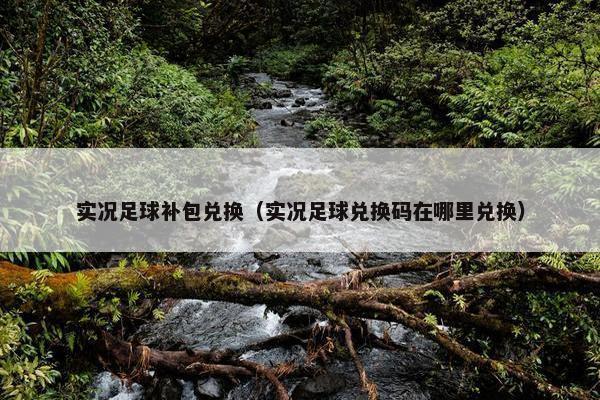 实况足球补包兑换（实况足球兑换码在哪里兑换）