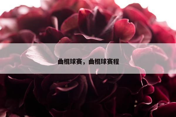 曲棍球赛，曲棍球赛程