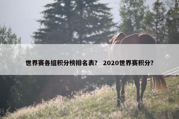 世界赛各组积分榜排名表？ 2020世界赛积分？
