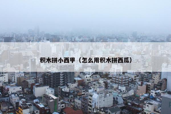 积木拼小西甲（怎么用积木拼西瓜）