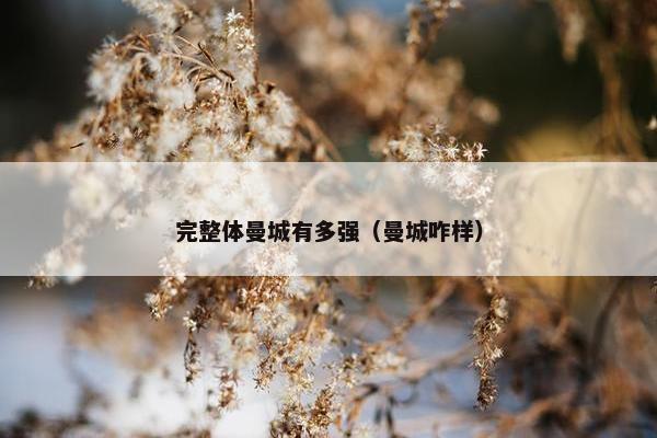 完整体曼城有多强（曼城咋样）