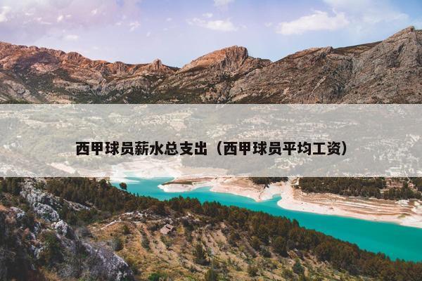 西甲球员薪水总支出（西甲球员平均工资）