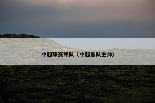 中超联赛领队（中超各队主帅）