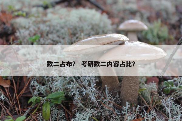 数二占布？ 考研数二内容占比？