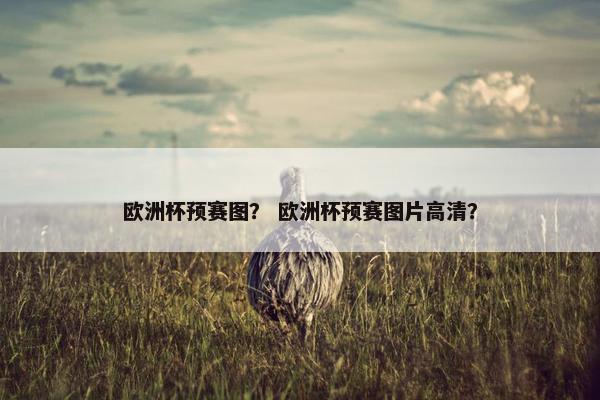 欧洲杯预赛图？ 欧洲杯预赛图片高清？