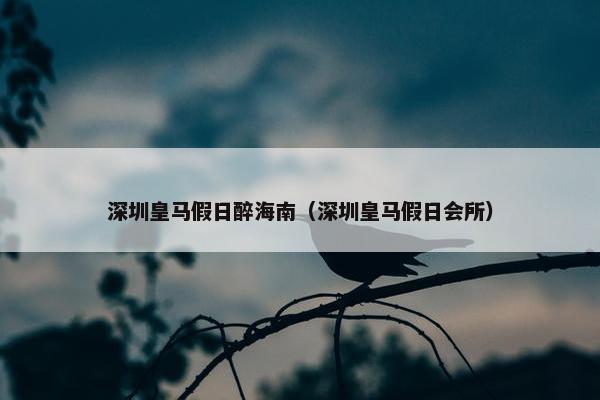 深圳皇马假日醉海南（深圳皇马假日会所）