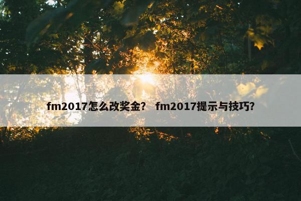 fm2017怎么改奖金？ fm2017提示与技巧？