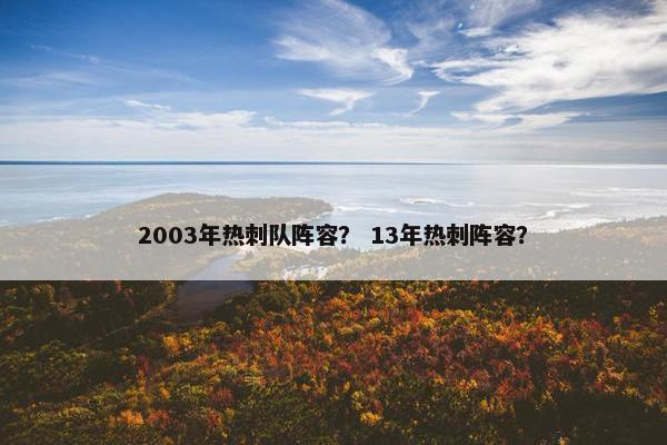 2003年热刺队阵容？ 13年热刺阵容？