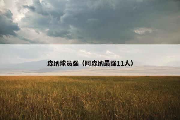 森纳球员强（阿森纳最强11人）