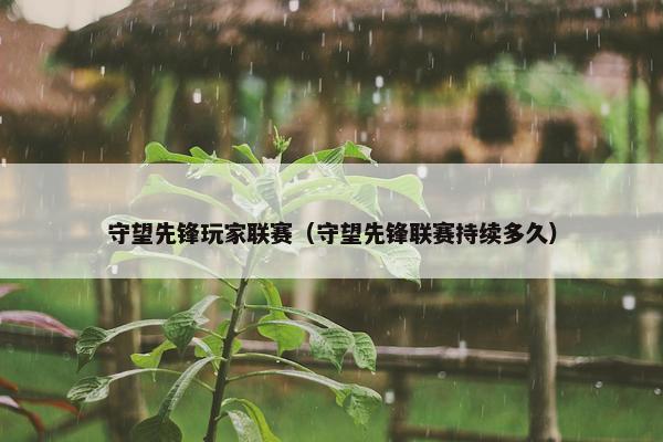 守望先锋玩家联赛（守望先锋联赛持续多久）