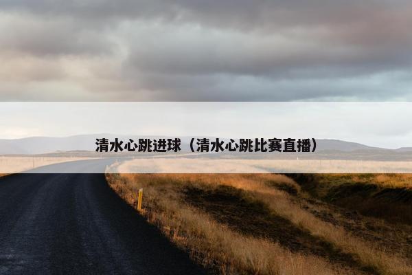 清水心跳进球（清水心跳比赛直播）