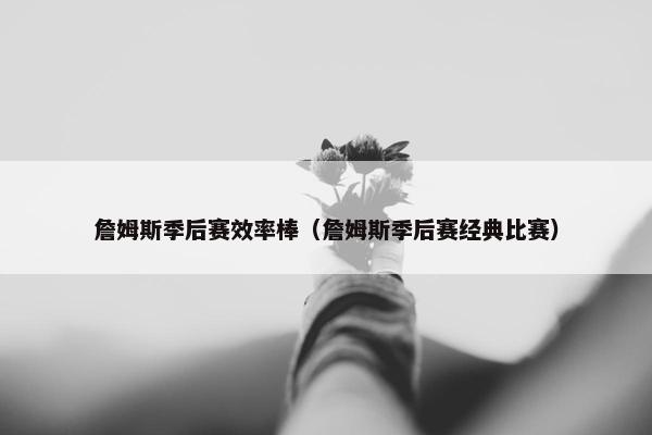 詹姆斯季后赛效率棒（詹姆斯季后赛经典比赛）