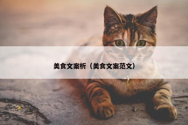 美食文案析（美食文案范文）