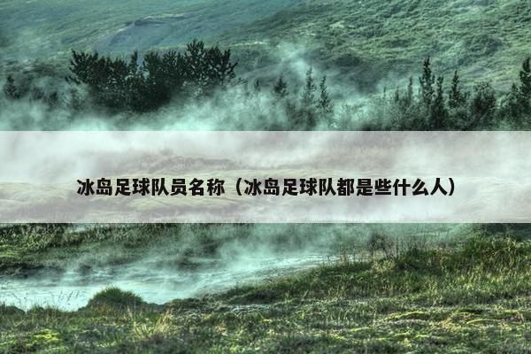 冰岛足球队员名称（冰岛足球队都是些什么人）