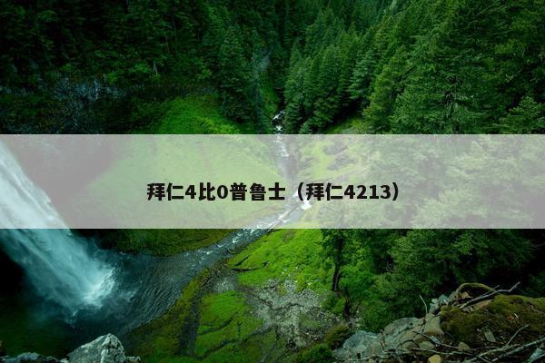 拜仁4比0普鲁士（拜仁4213）