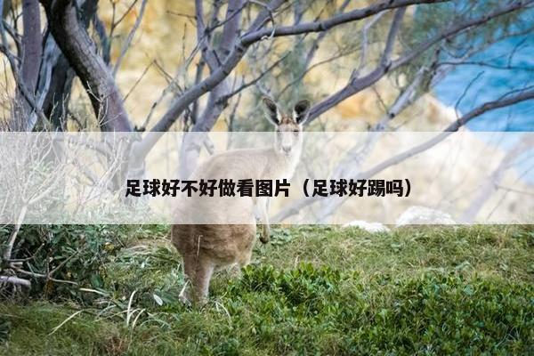 足球好不好做看图片（足球好踢吗）