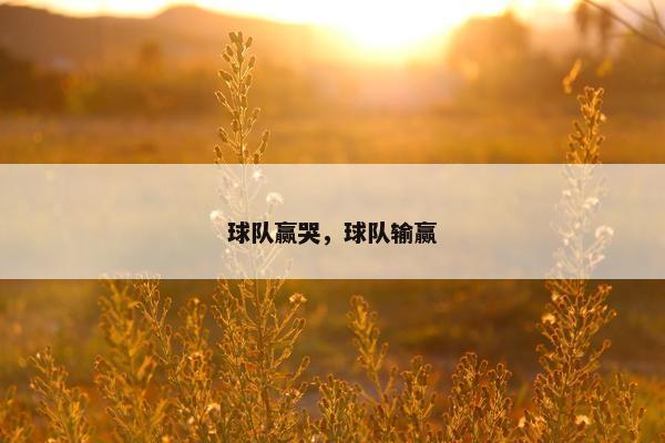 球队赢哭，球队输赢