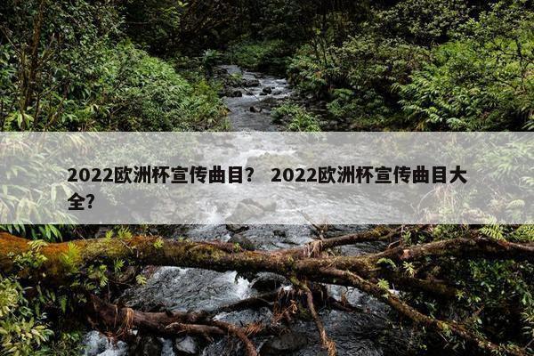 2022欧洲杯宣传曲目？ 2022欧洲杯宣传曲目大全？