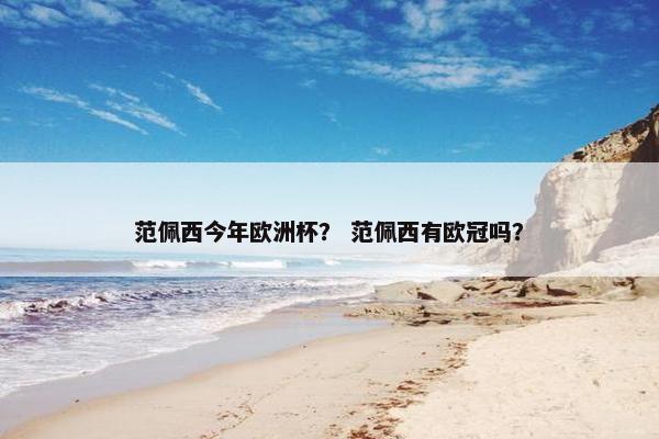 范佩西今年欧洲杯？ 范佩西有欧冠吗？