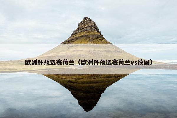欧洲杯预选赛荷兰（欧洲杯预选赛荷兰vs德国）