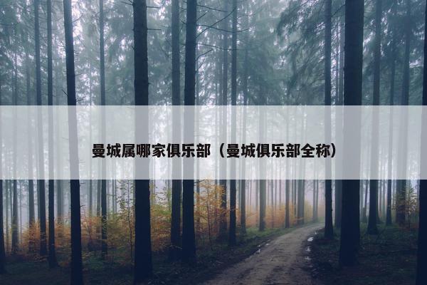 曼城属哪家俱乐部（曼城俱乐部全称）