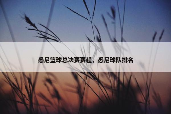 悉尼篮球总决赛赛程，悉尼球队排名