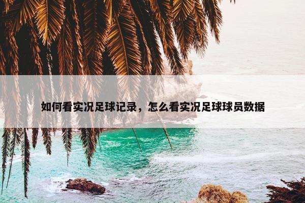 如何看实况足球记录，怎么看实况足球球员数据