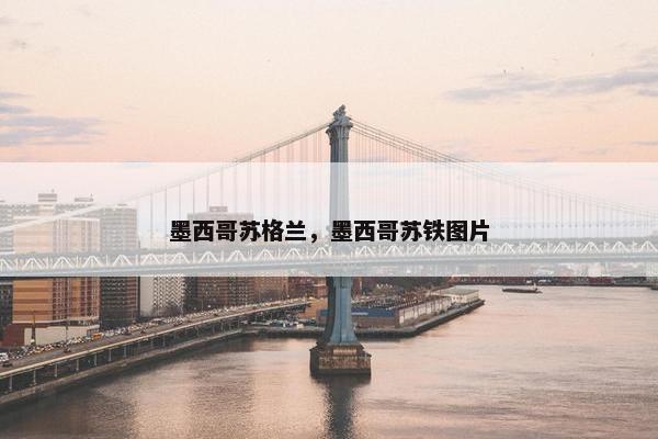 墨西哥苏格兰，墨西哥苏铁图片