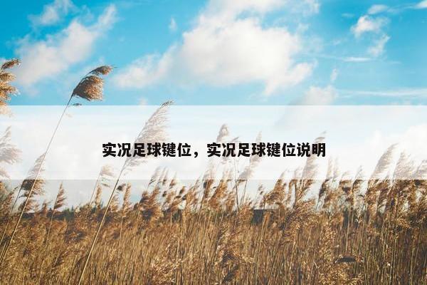 实况足球键位，实况足球键位说明