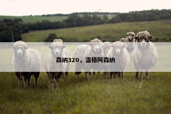 森纳320，温格阿森纳