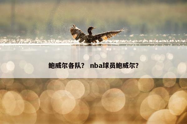 鲍威尔各队？ nba球员鲍威尔？