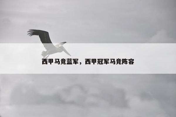 西甲马竞蓝军，西甲冠军马竞阵容