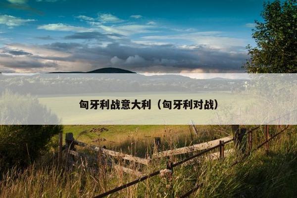 匈牙利战意大利（匈牙利对战）