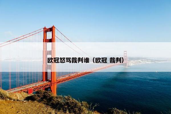 欧冠怒骂裁判谁（欧冠 裁判）