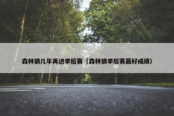 森林狼几年再进季后赛（森林狼季后赛最好成绩）
