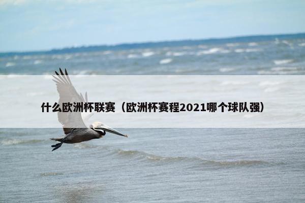 什么欧洲杯联赛（欧洲杯赛程2021哪个球队强）