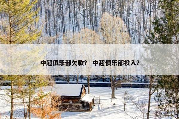 中超俱乐部欠款？ 中超俱乐部投入？