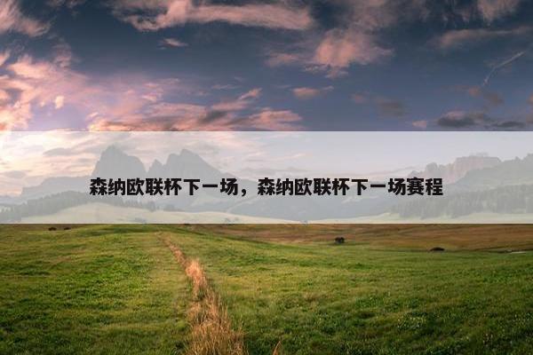 森纳欧联杯下一场，森纳欧联杯下一场赛程