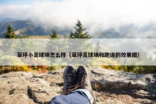 草坪小足球场怎么样（草坪足球场和跑道的效果图）