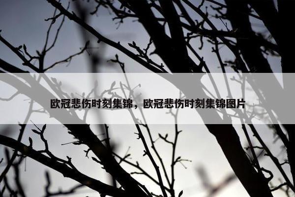 欧冠悲伤时刻集锦，欧冠悲伤时刻集锦图片